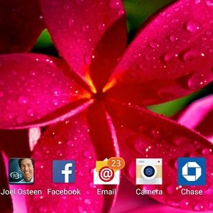 Meet your Posher, Julie